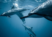 世界杯官方正版软件下载-闰土没给前女友封口费